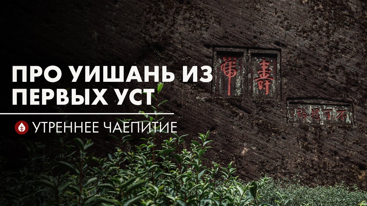 Секреты заповедных гор  | Стрим Art of Tea