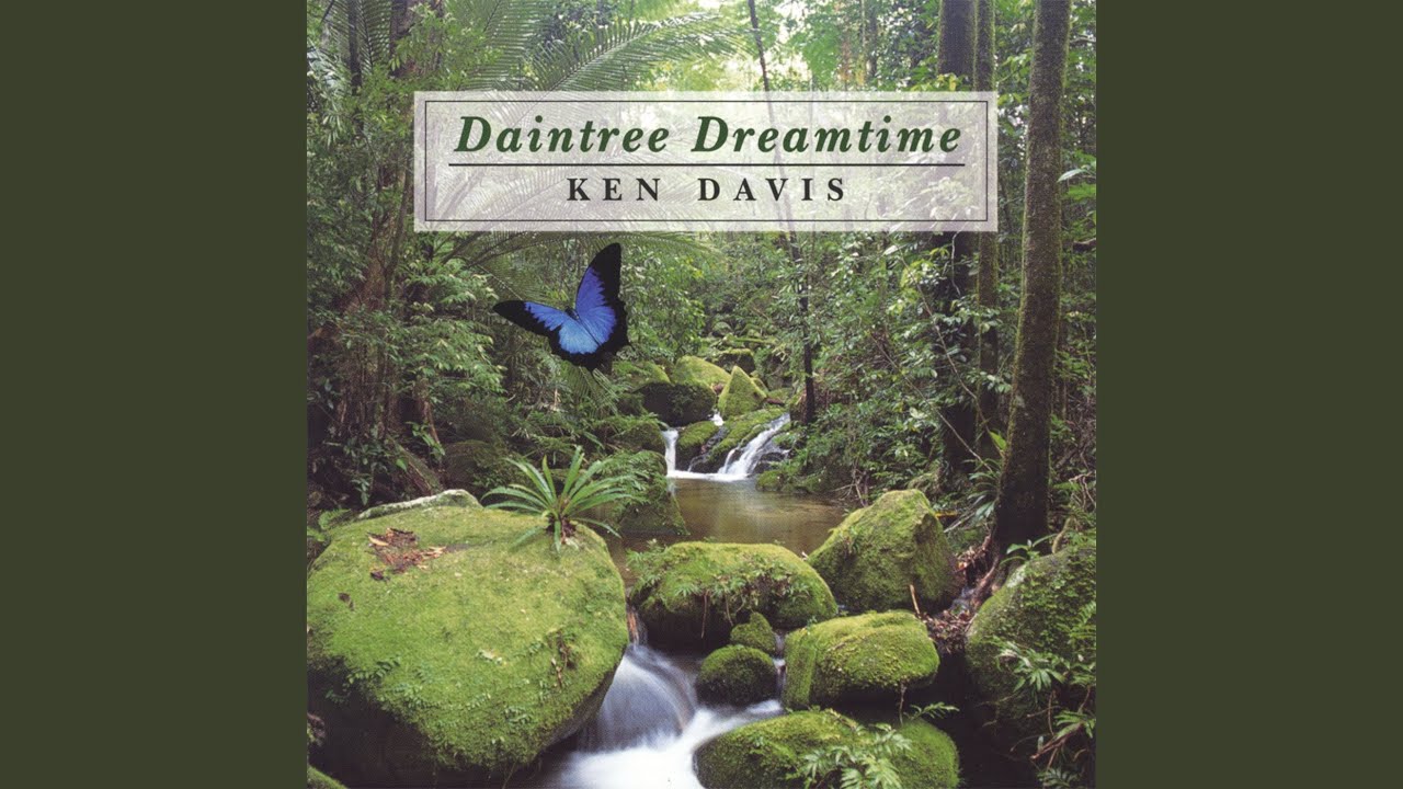 Daintree Dreamtime