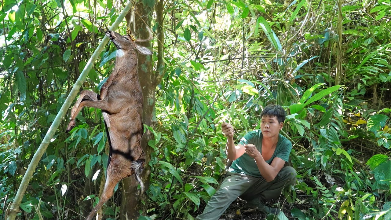200 days of survival in the wild, trap, wild animal, wild deer, giant wild boar, wild bird, survival