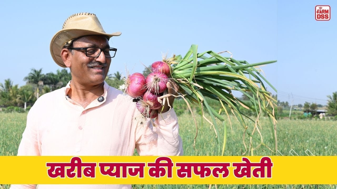 खरीफ प्याज की सफल खेती  @BTGore