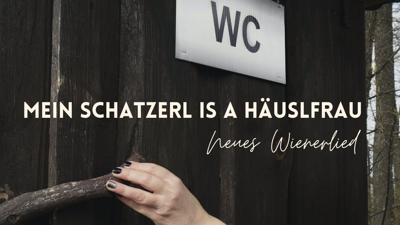 16er Buam / Mei Schatzerl is a Häuslfrau / Neues Wienerlied