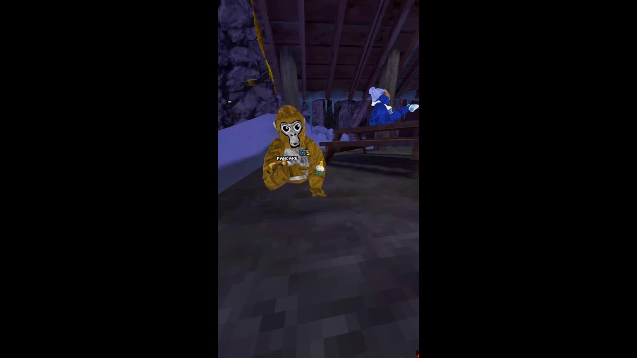 Meta Quest Broadcast | Powered by LIV