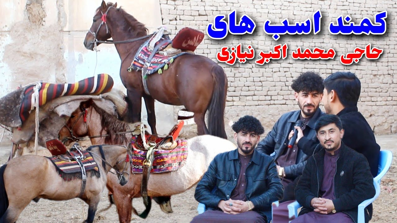 کمند اسب های حاجی محمد اکبر نیازی، معرفی اسب های شاهین، اپراتور، و سمند شیر، تورنمنت مزارشریف