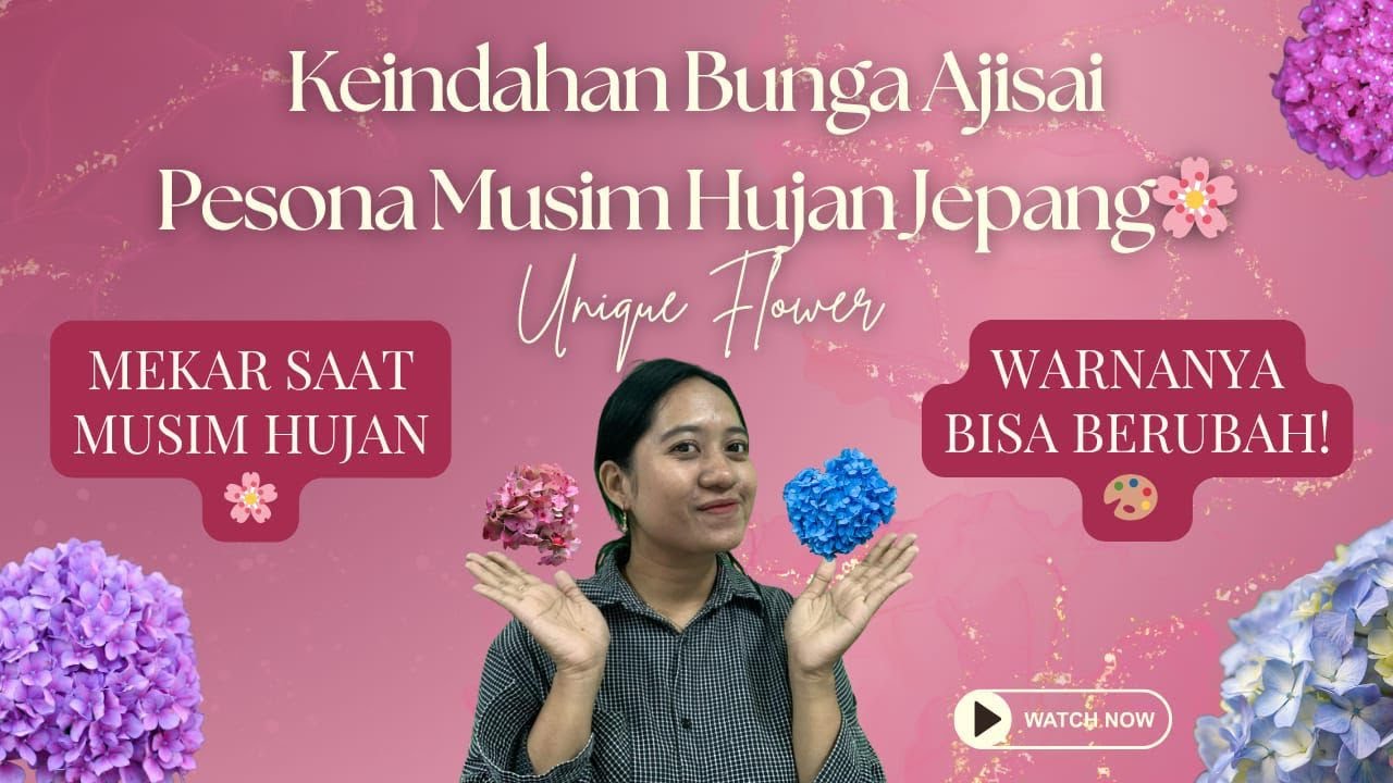 Musim Hujan? Saatnya Berburu Keindahan Bunga Ajisai di Kyoto! #hydrngea #ajisai