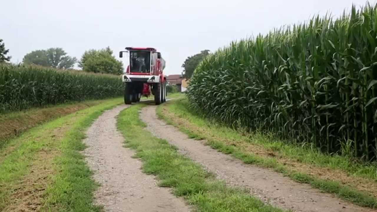 MASCHIO GASPARDO - TALPA