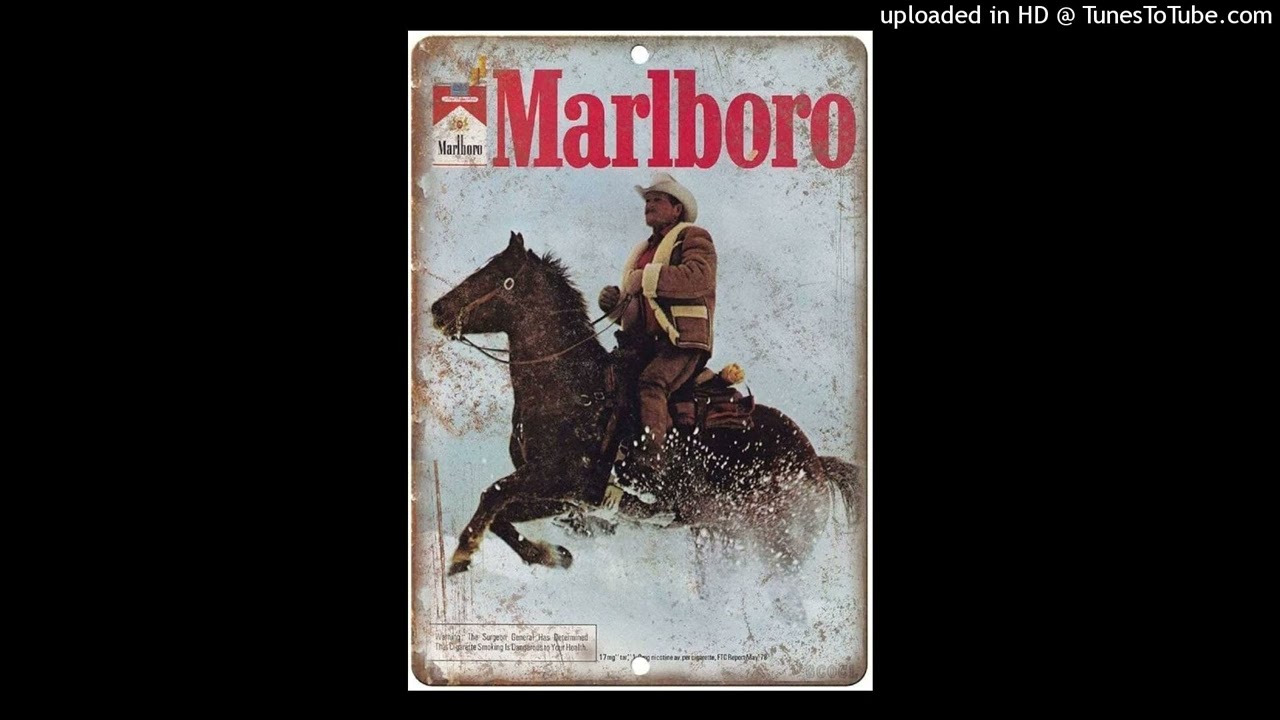 free drq x d1graced type beat