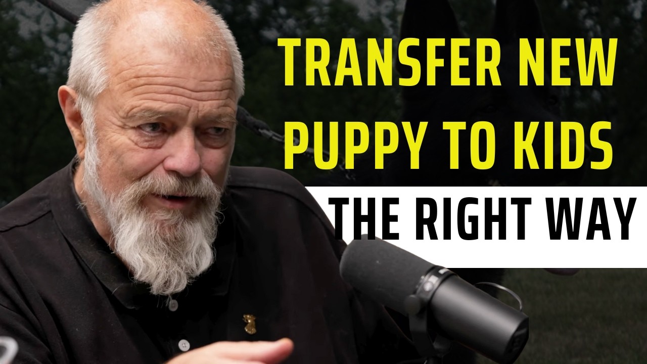 Transfer new Puppy to Kids: The Right Way