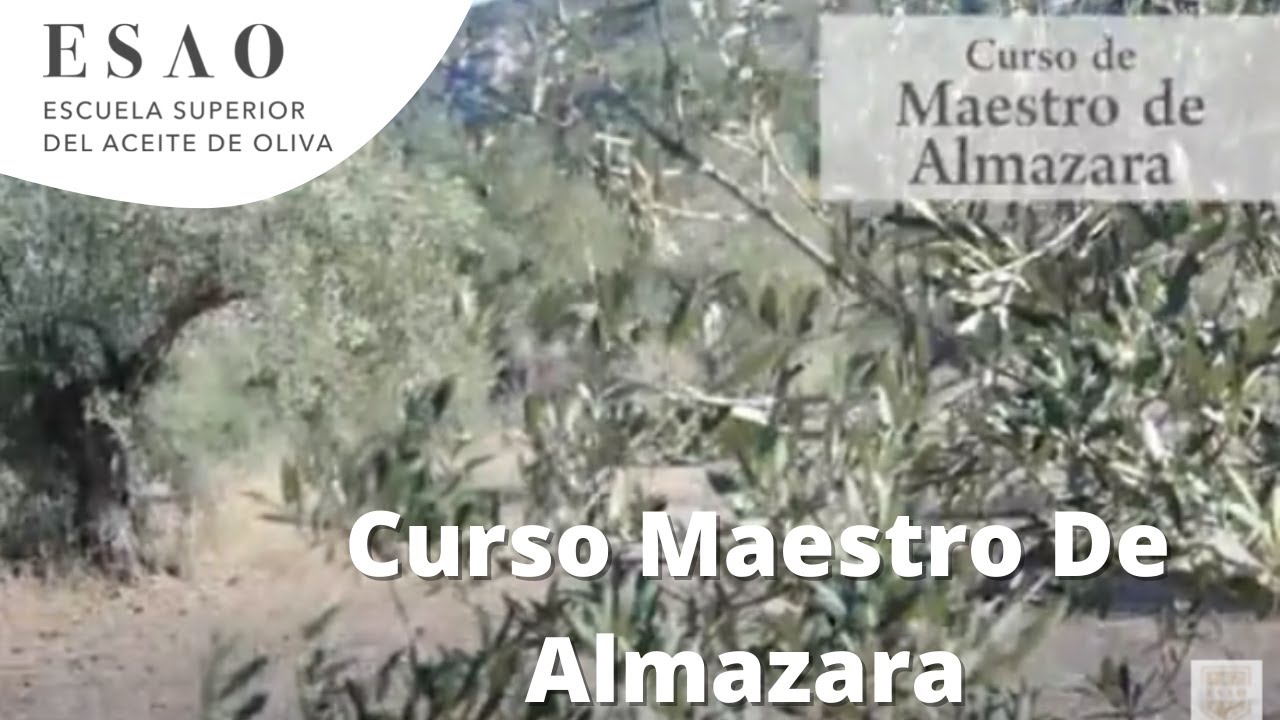 Curso Maestro De Almazara - Escuela Superior Del Aceite de Oliva