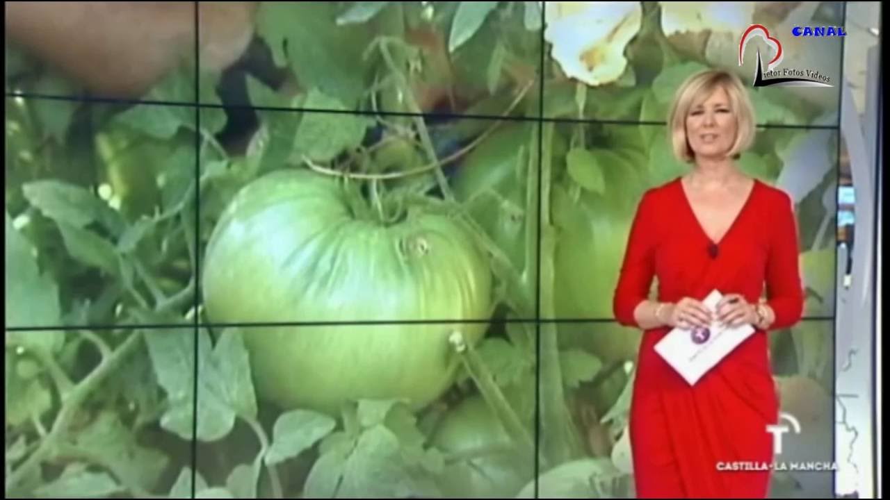 Tomates de Liétor 2016
