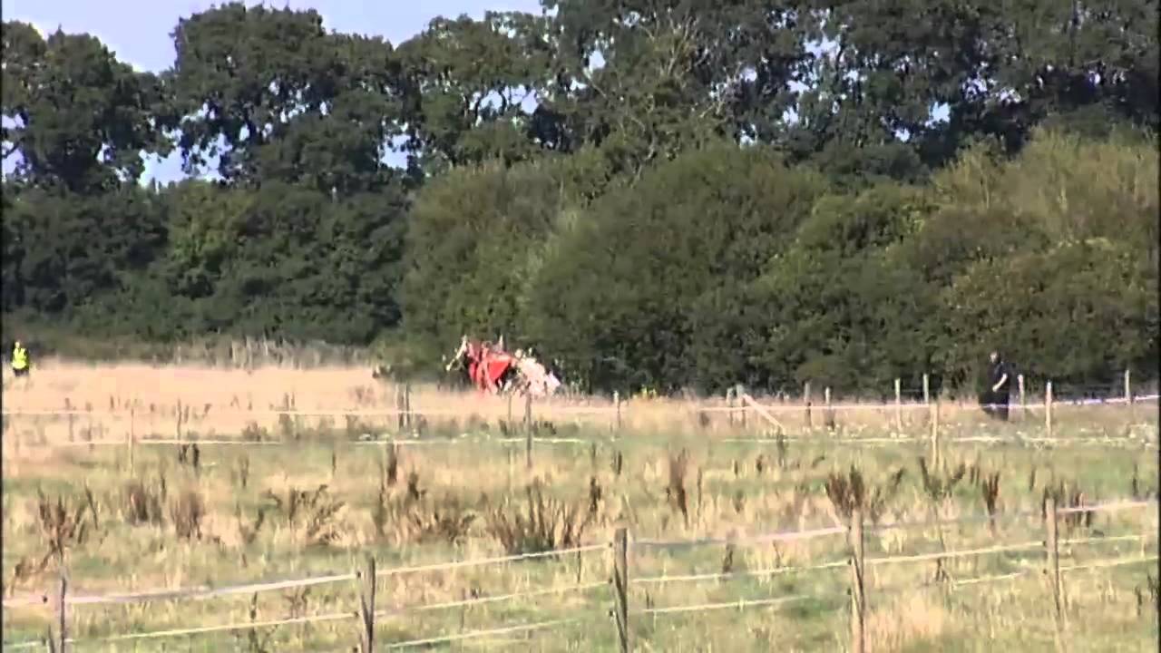 Red Arrows suspended as tributes paid to pilot