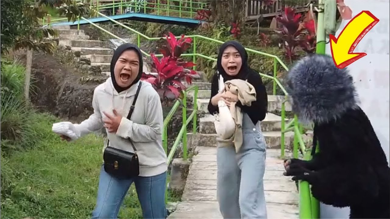 This monkey is so naughty..!! #funny #happy #entertainment