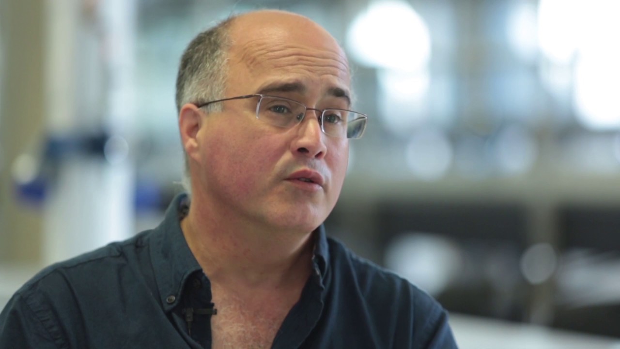 Professor Eric Palmiere: you might say I have iron and steel in my blood