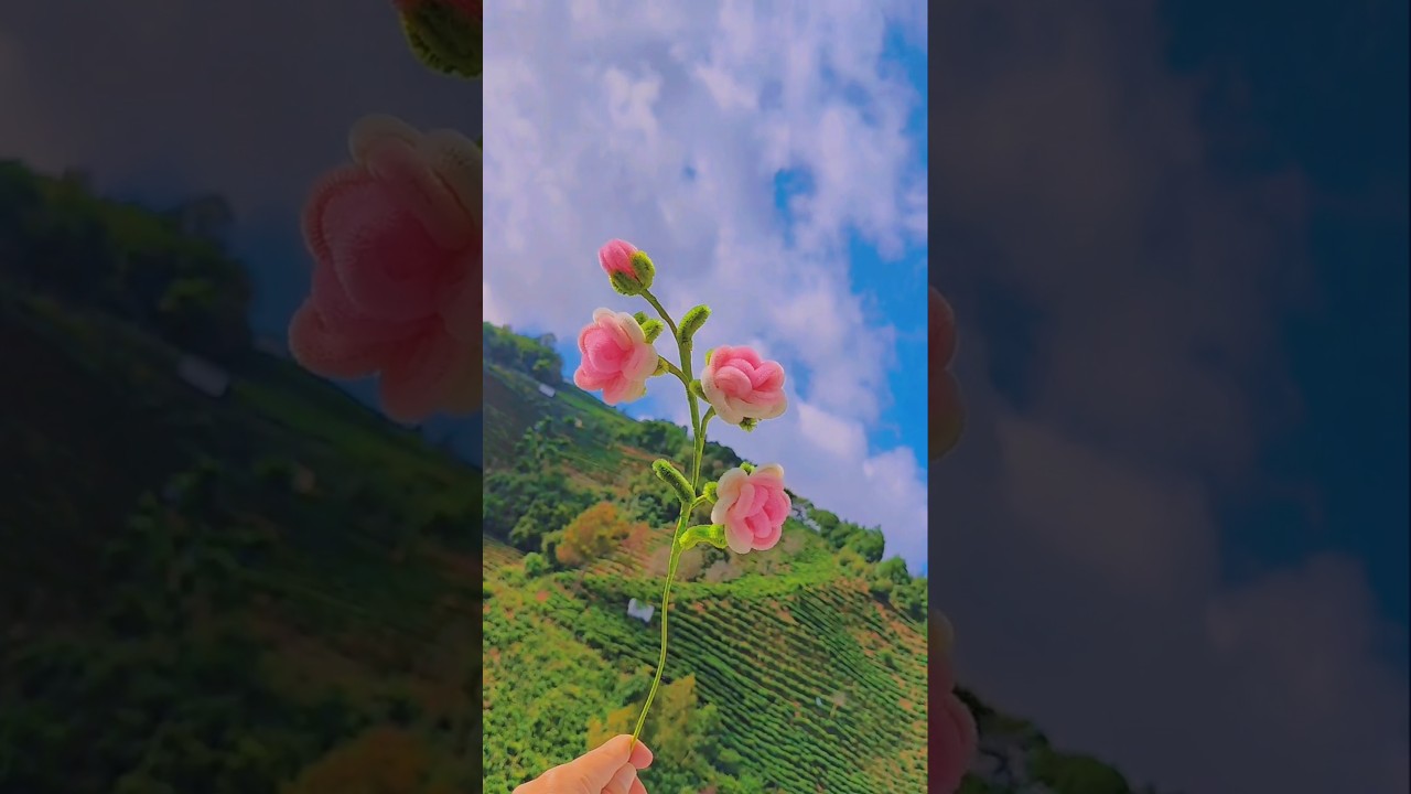 Niuniuban Curly Rose 🌹 #diy