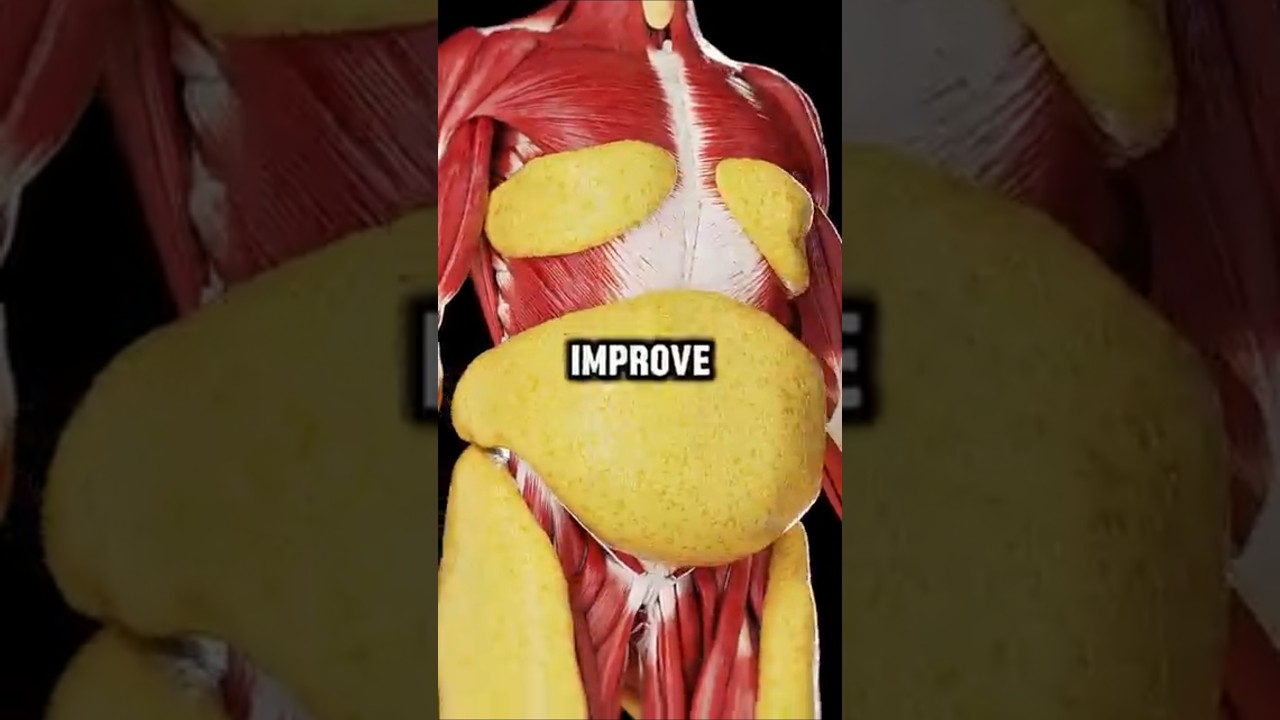 Best food to burn years of storing belly fat immediately with out doubt