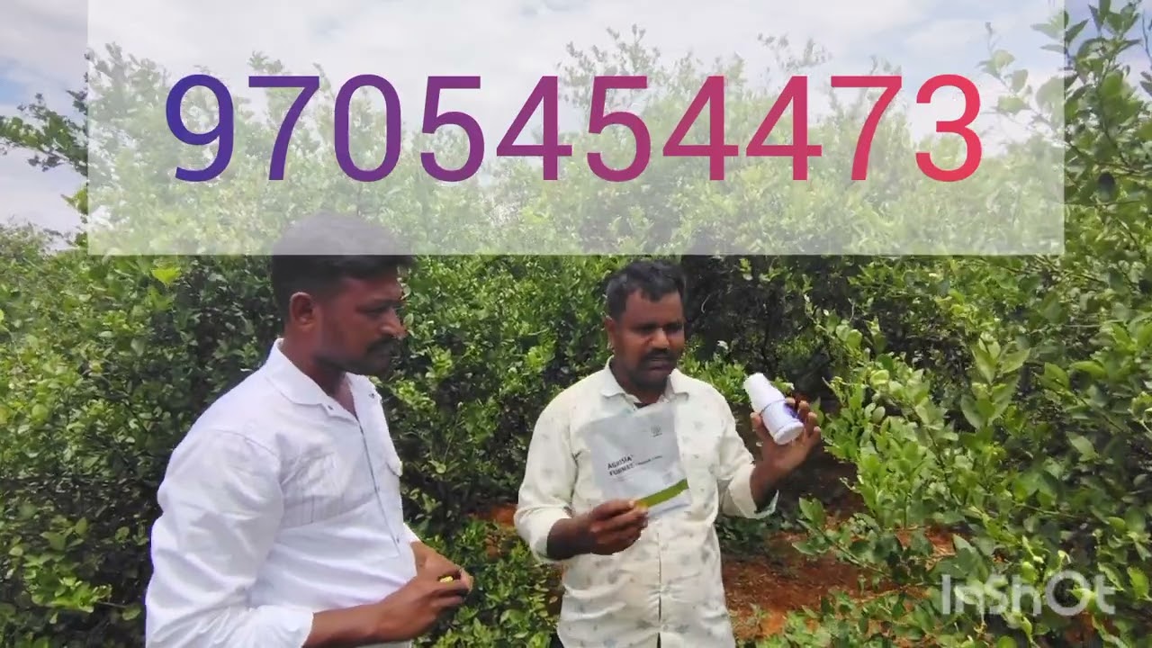 అన్నీ రాకల పురుగులు మరియు దోమలకు ఒక్కటే పరిష్కారం #ఎంబిట్