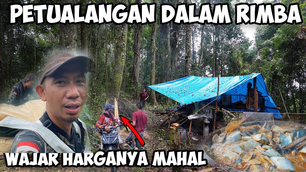 MERAJUT ASA DI HUTAN RIMBA BELANTARA | PETUALANGAN JDTV BUSHCRAFT CAMPING