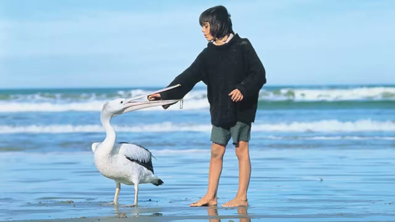 Storm Boy. Outtakes. Noarlunga Beach. South Australia. 1976. Greg Rowe.