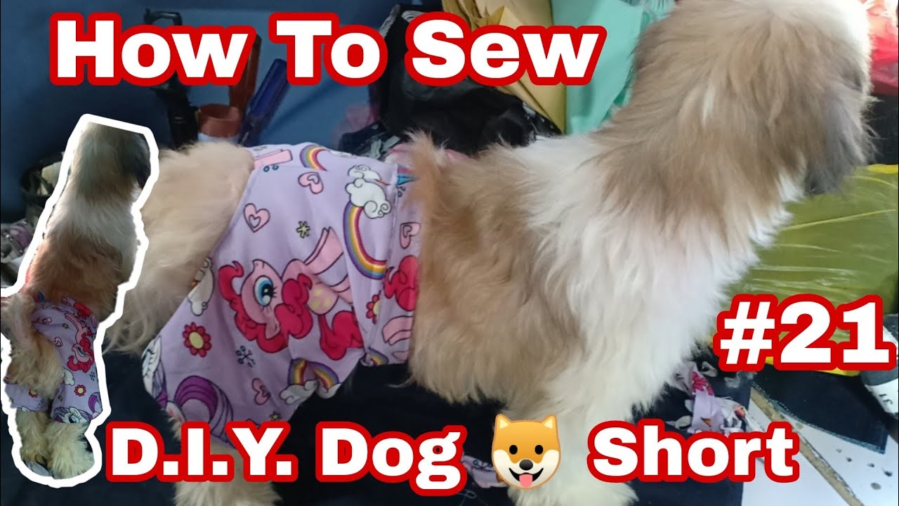 How to sew D.I.Y. Dog 🐶 short | Vlog # 21