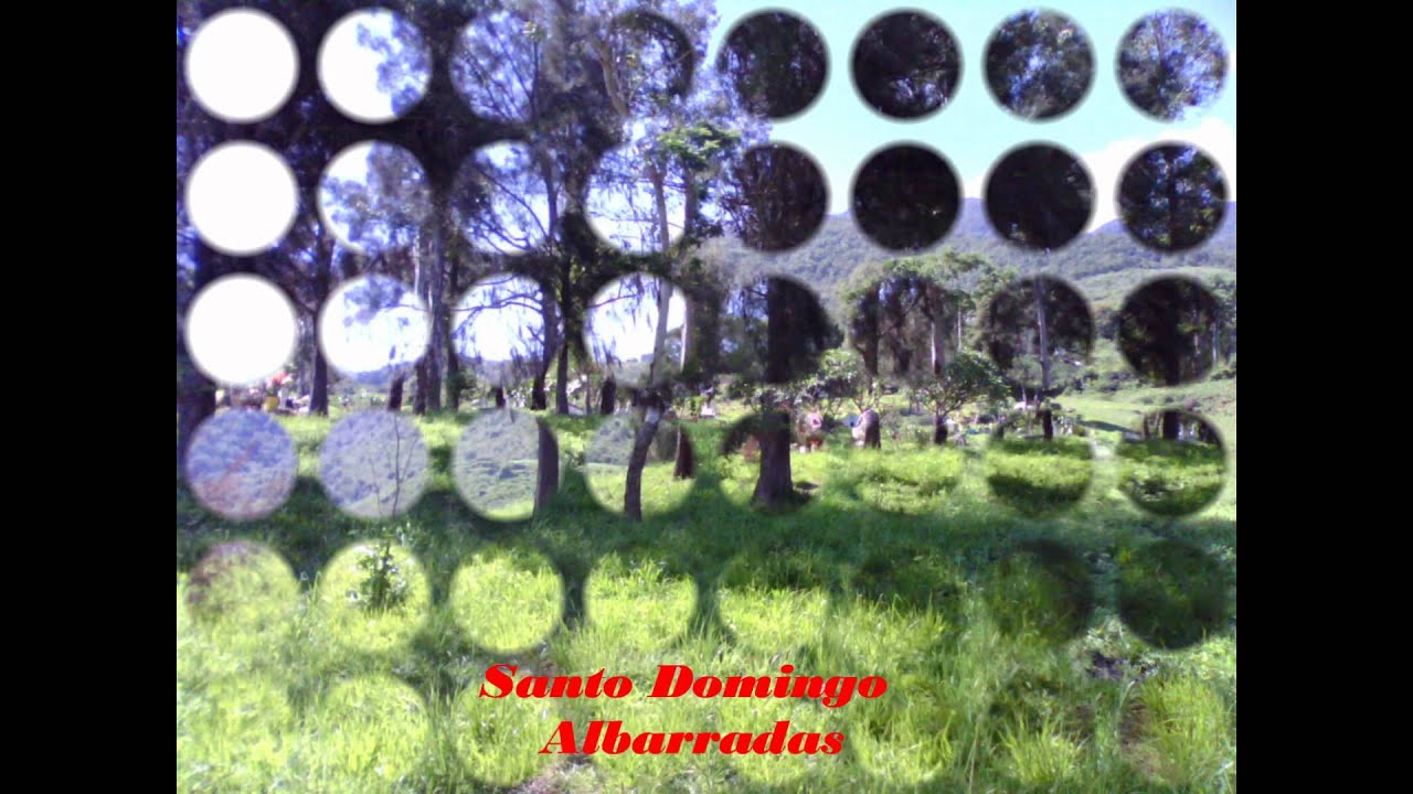 Sones y Jarabes Zapotecos (sto domingo albarradas)