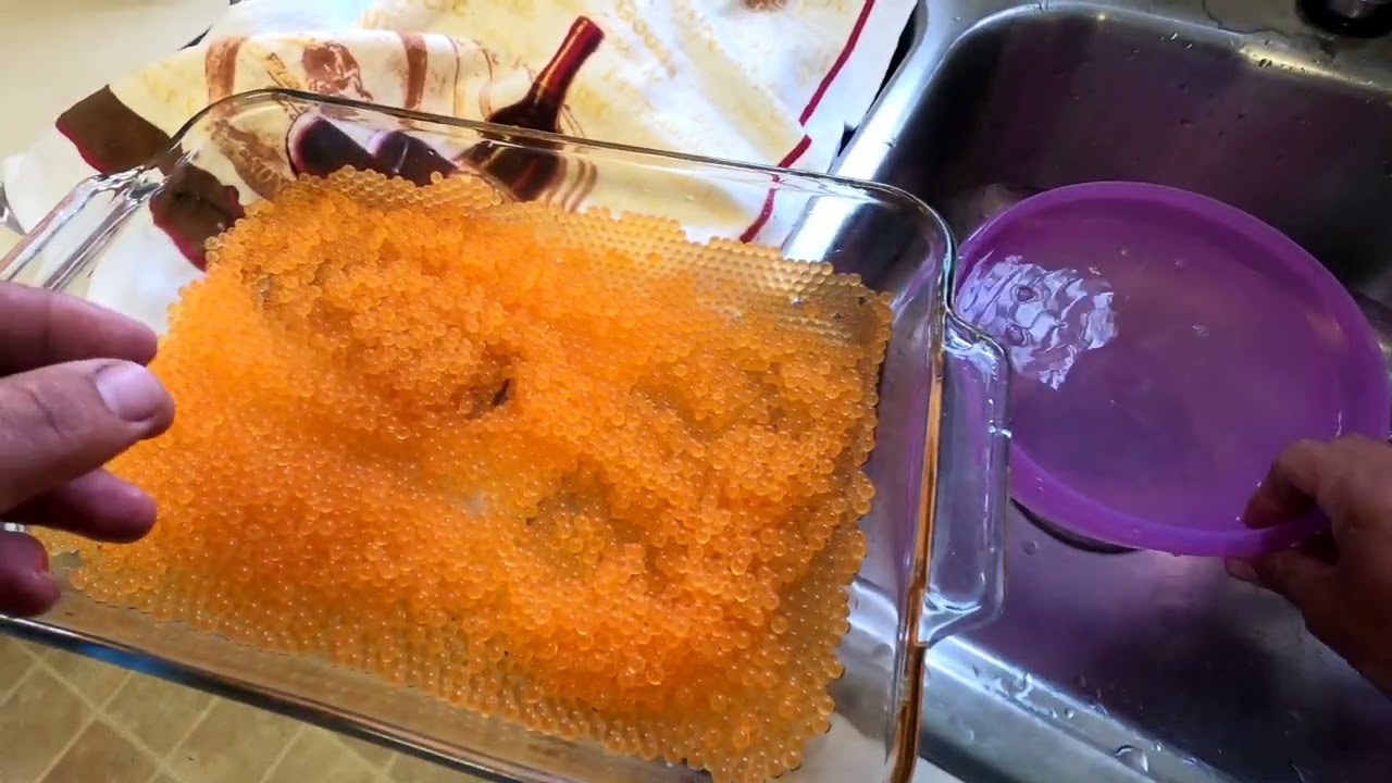 Aqui les dejo una reseta de caviar de trucha espero que lo difruten