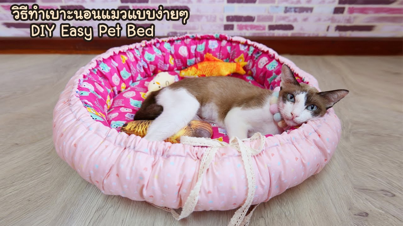 วิธีทำ เบาะนอนแมว เบาะนอนสัตว์เลี้ยงแบบง่ายๆ ที่นอนแมว DIY Easy Pet Bed / Cat bed l Hansa Craft