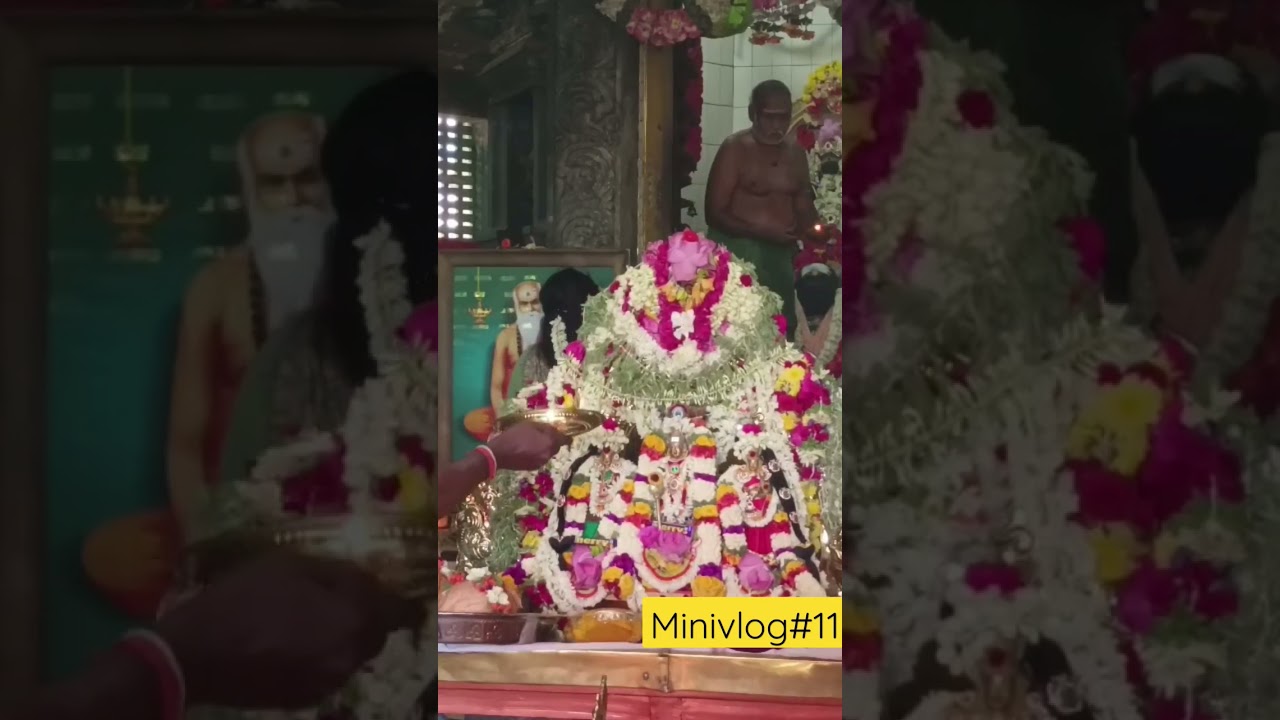Minivlog#11 Blessed Tuesday|Murugan Thirukalyanam| #minivlog #menakai #workingwomendailyvlog svlogs