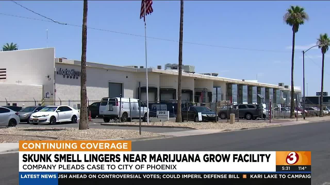 Strong smell lingers near Phoenix marijuana grow facility