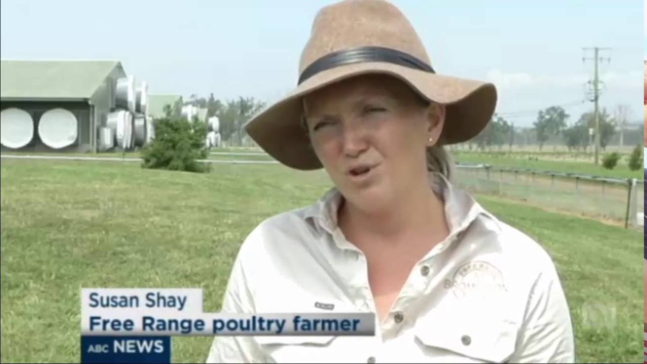 Chicken wars: Poultry farmers deny tourism on Scenic Rim being impacted