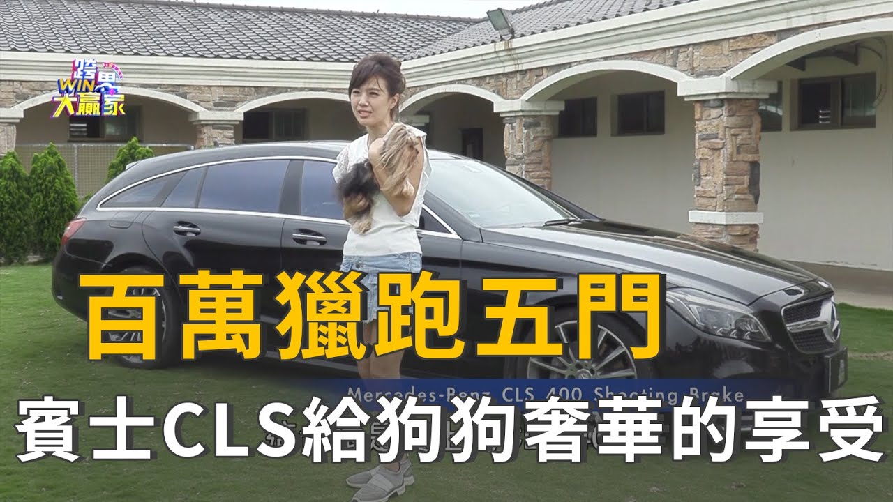 『精彩片段』賓士CLS百萬獵跑五門 就是要給狗狗最奢華的享受