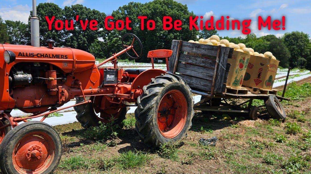 Average Day on a Diverse Small Produce Farm