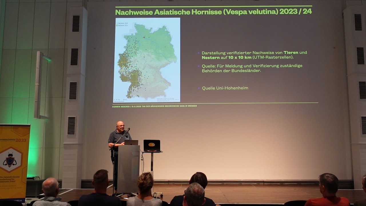 Praktischer Umgang mit der asiatischen Hornisse aus Imkersicht - Erwin Heberer