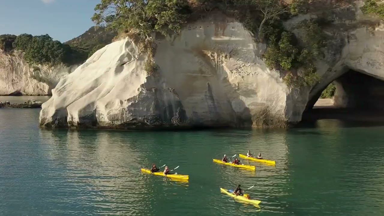 The Cathedral Cove Classic Tour, at a glance..