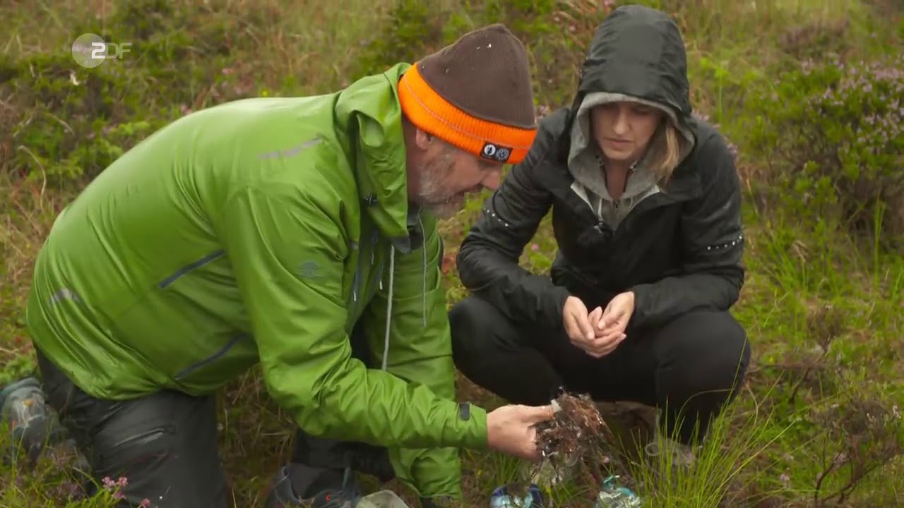 logo!-Jennie auf einer Plastikinsel - ZDFtivi