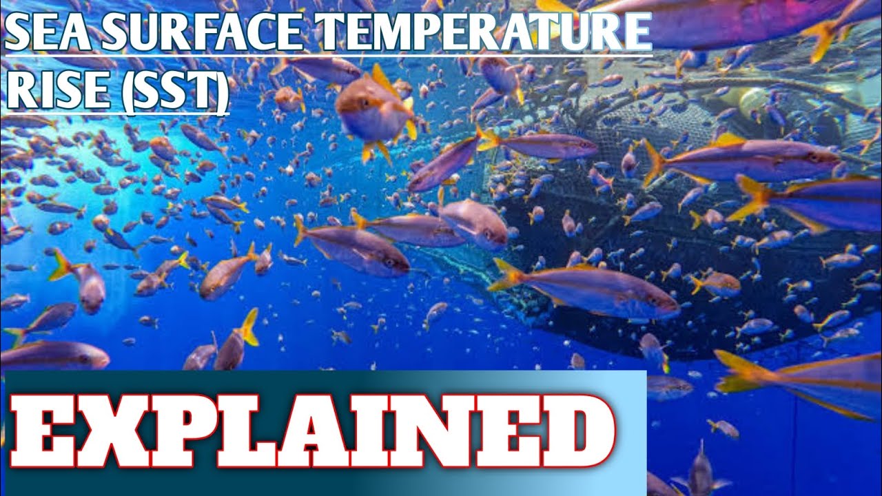 SEA SURFACE TEMPERATURE RISE (SST) I UPSC I PCS I @StayTunedwithAY 