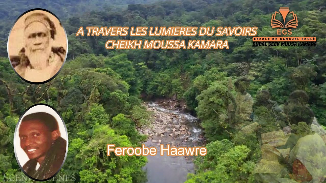 Feroobe Haawre