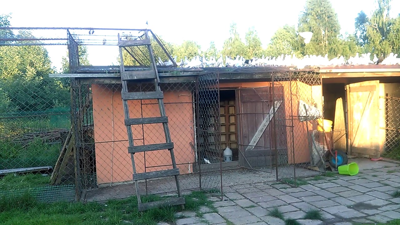 Spacerki i pogaduchy