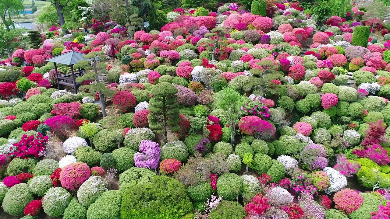 大桑原つつじ園