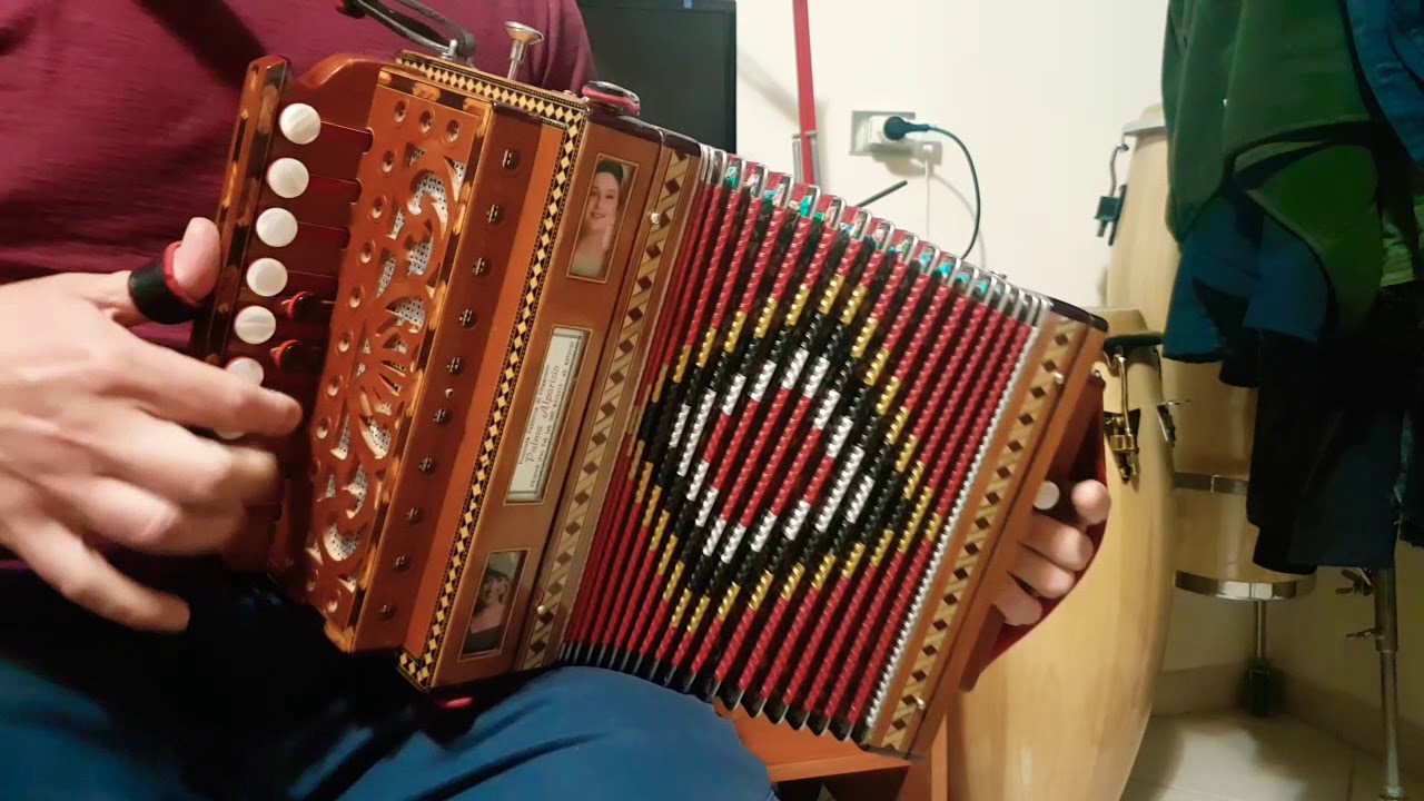 Polka Antica Organetto