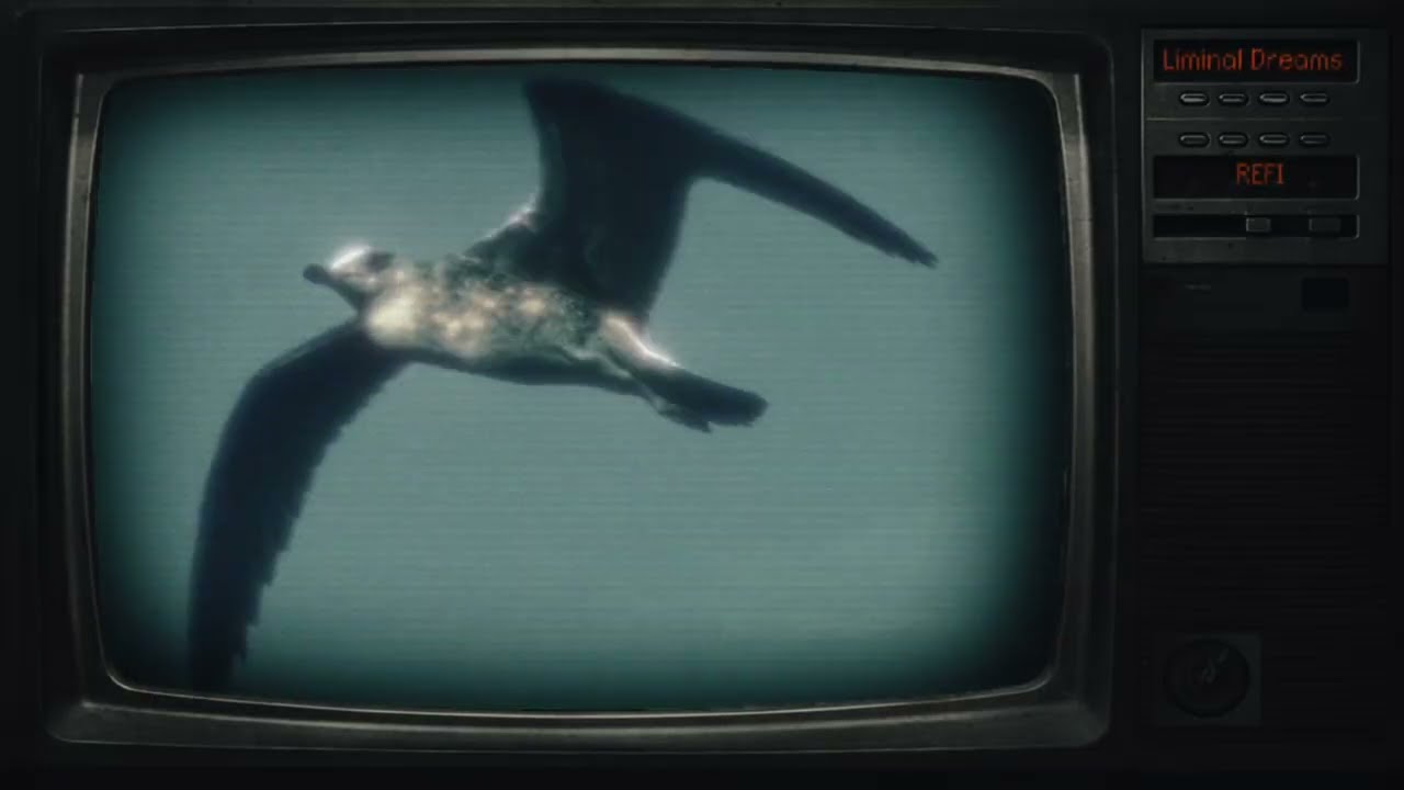 REFI - Liminal Dreams