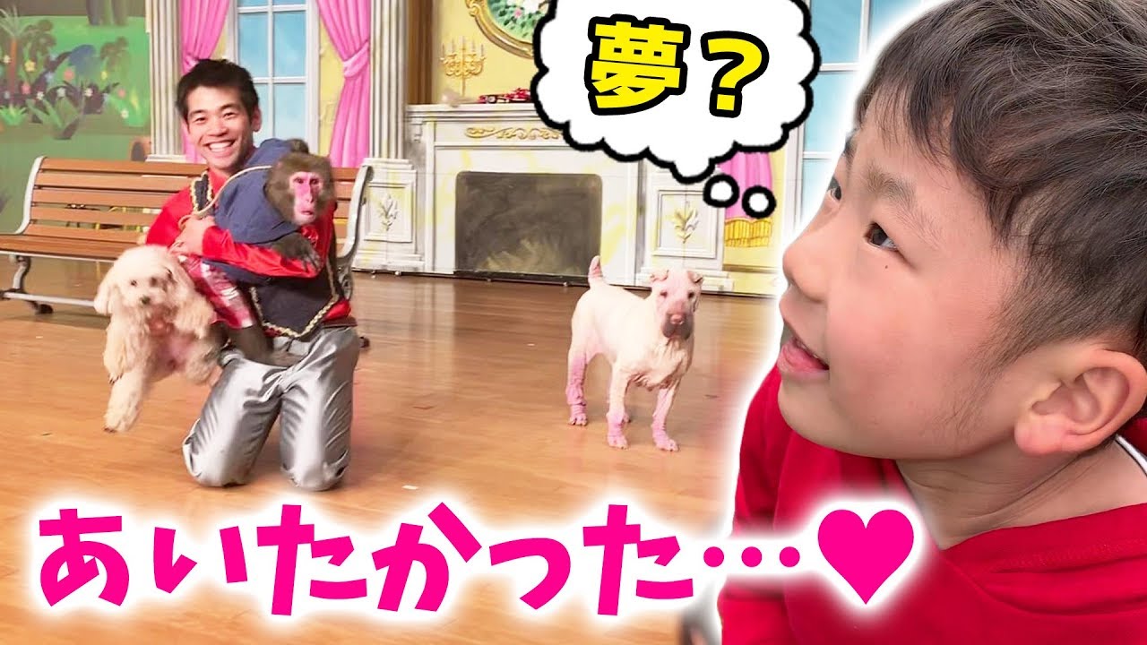 お猿のカイくんに会いたかった…！5歳の息子にサプライズドッキリで感動の結末が…！【プーキーズさん★初逢記念日】