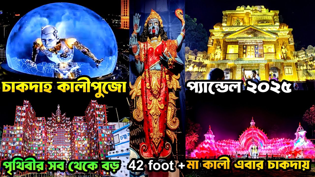 বিশ্বের সবচেয়ে বড় কালী শিলিন্দায় | Chakdha kalipuja 2025 | silinda kalipujo 2025 |চাকদহ কালীপুজো 