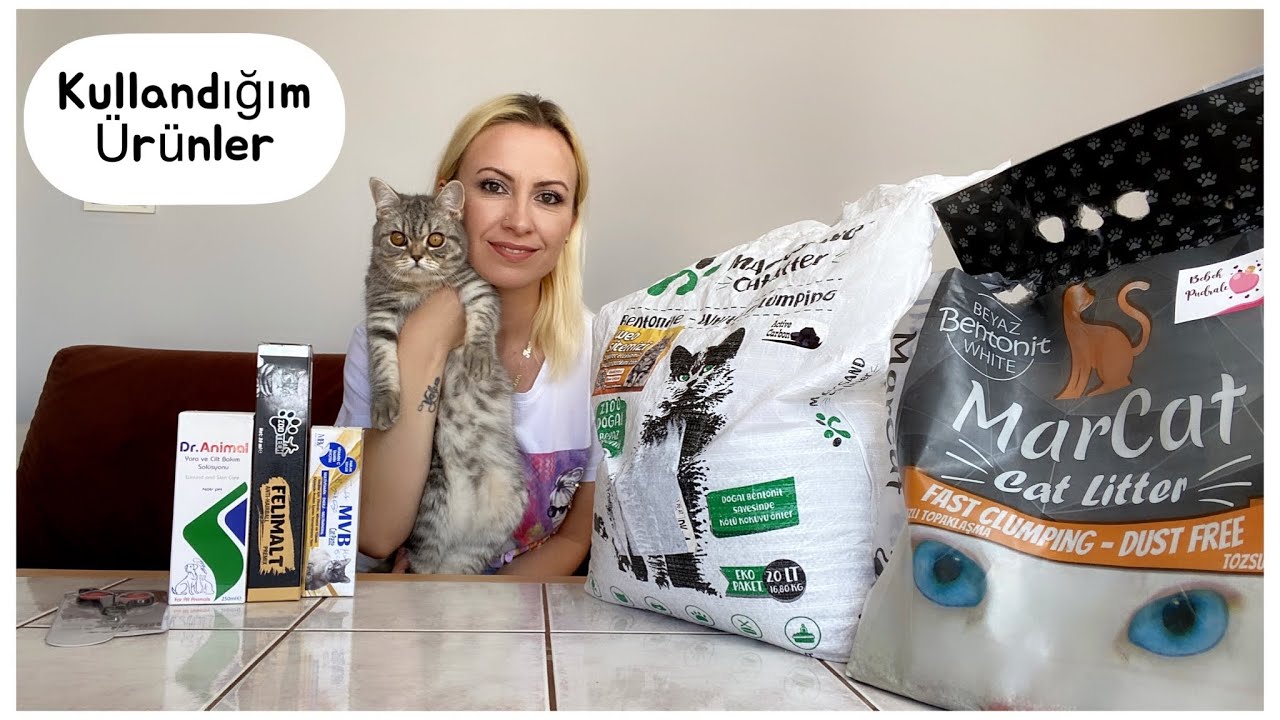 Kedi Bakımı | Koku Yapmayan Kedi Kumu Önerisi!