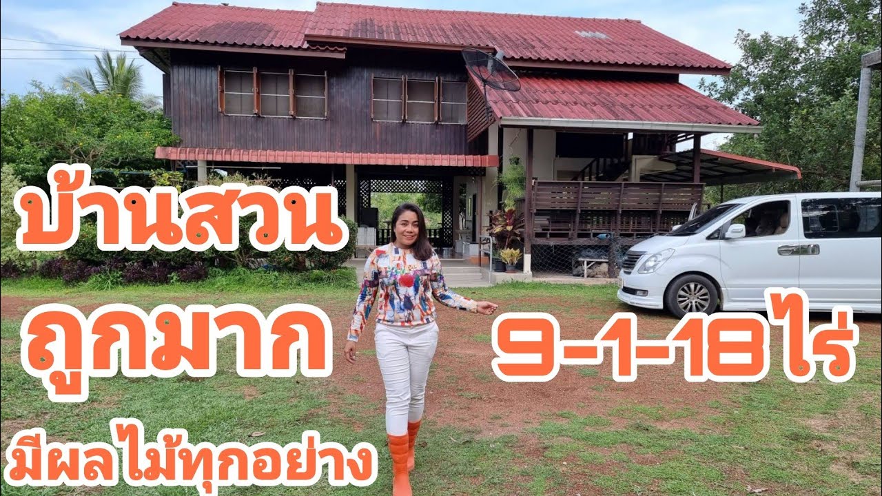 ด่วนๆ #บ้านสวนพร้อมอยู่ [EP.670] ผลไม้เยอะ ไม้ป่าต้นใหญ่ๆ ราคาถูกๆ