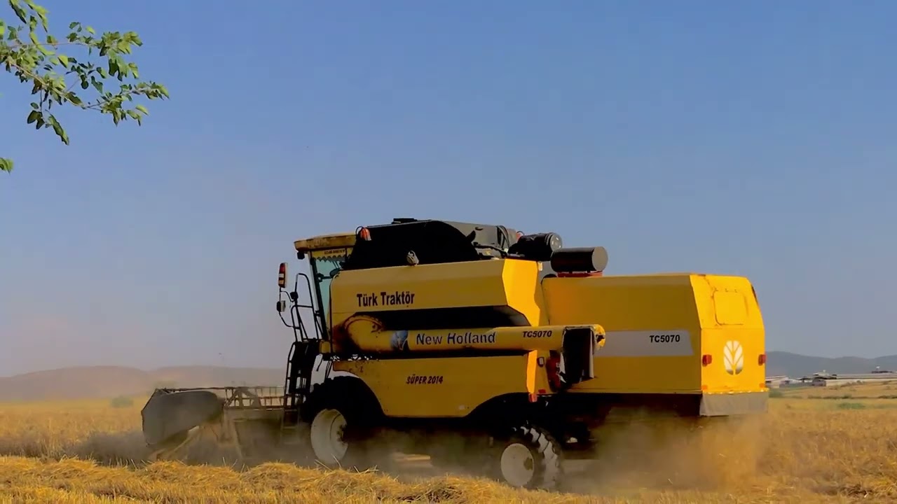 TC5070 TC56 biçerdöver bugday hasadı