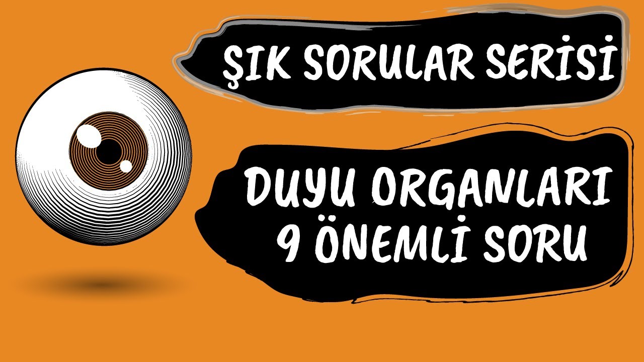 DUYU ORGANLARI İLE İLGİLİ SINAVDA GELEBİLECEK 9 ÖNEMLİ SORU #ŞIKSORULAR
