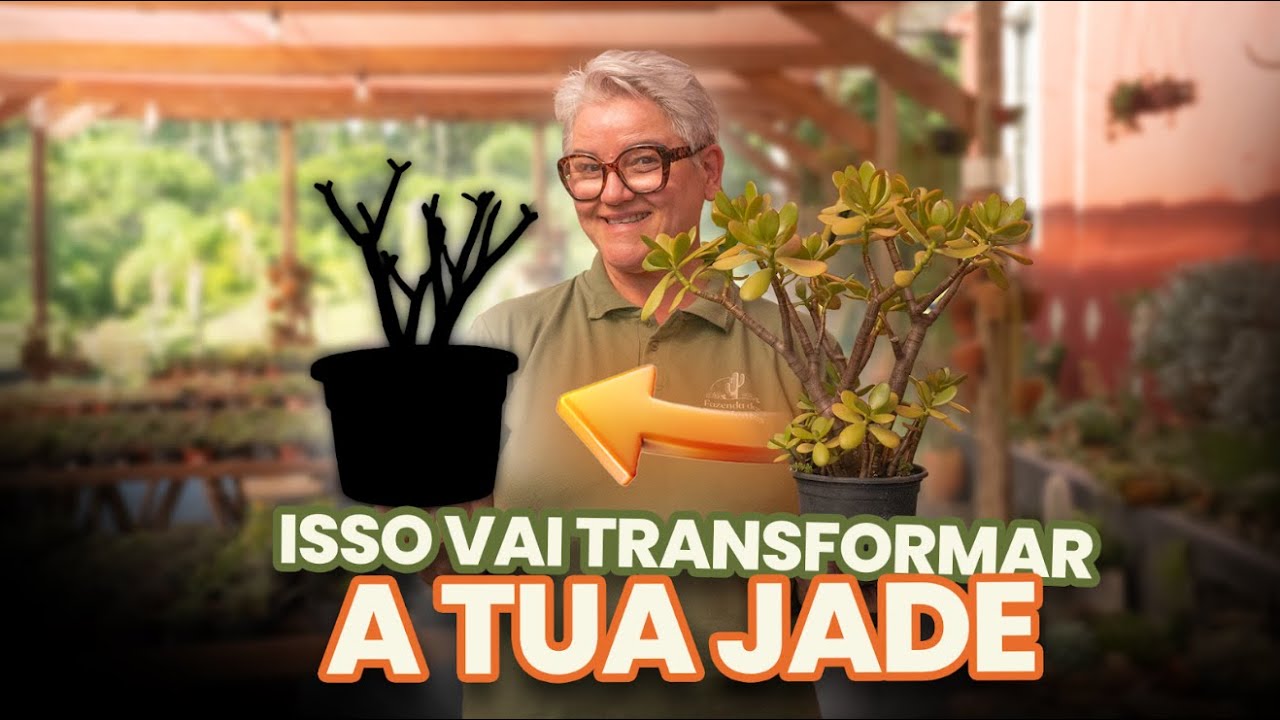 SALVE a tua JADE fazendo isso!