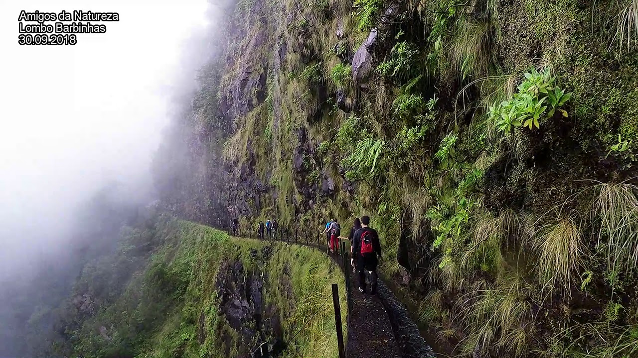 Amigos da Natureza - Ilha da Madeira