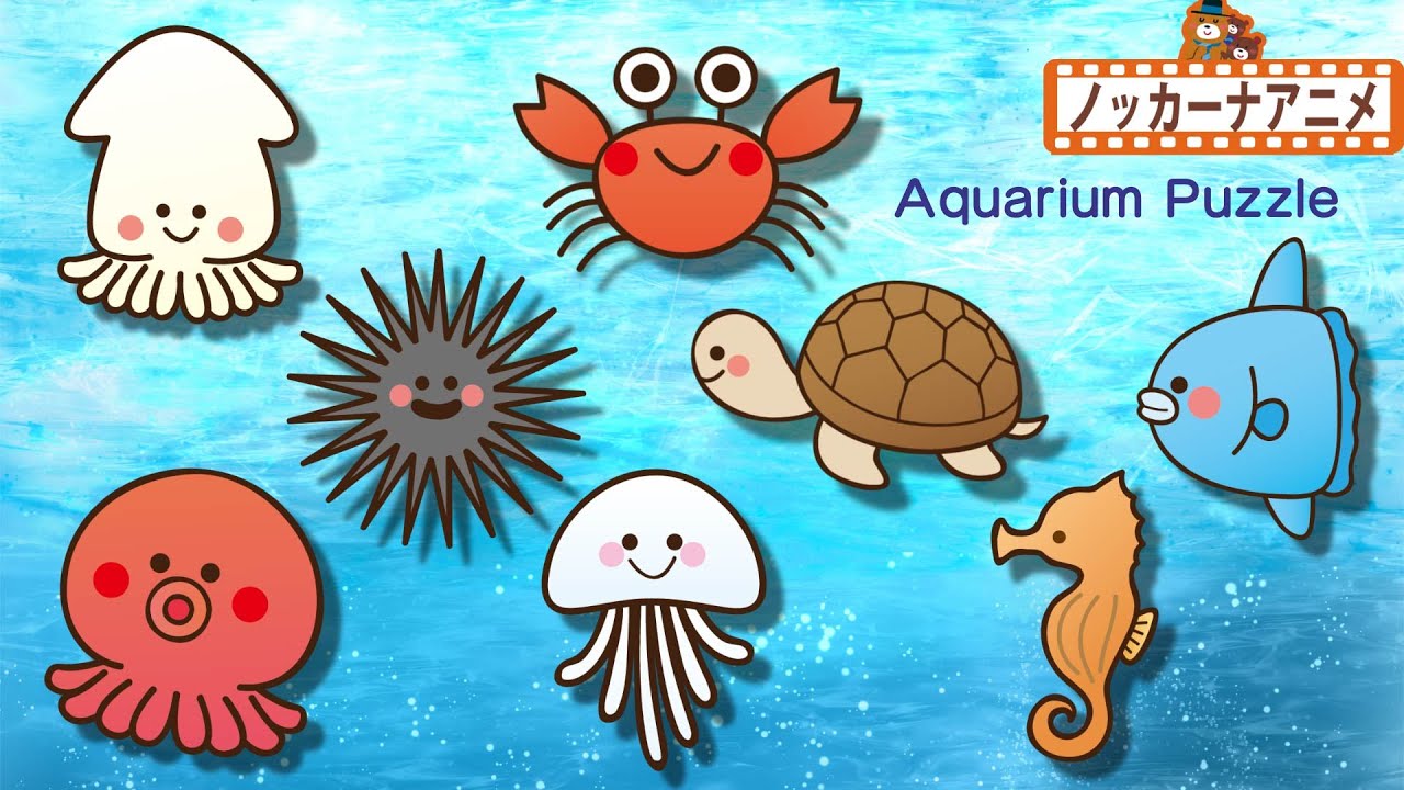 【水族館の人気者】海の生き物 パズル★カニ・タコ・イカ★子供向けアニメ★赤ちゃんが喜ぶ知育遊び★Aquarium Puzzle kids anime