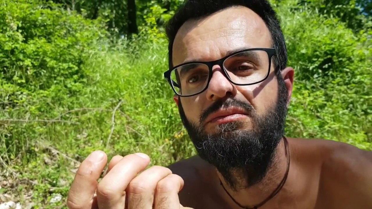 ΕΠΙΒΙΩΣΗ. Άγρια φαγώσιμα χόρτα Μέρος 4