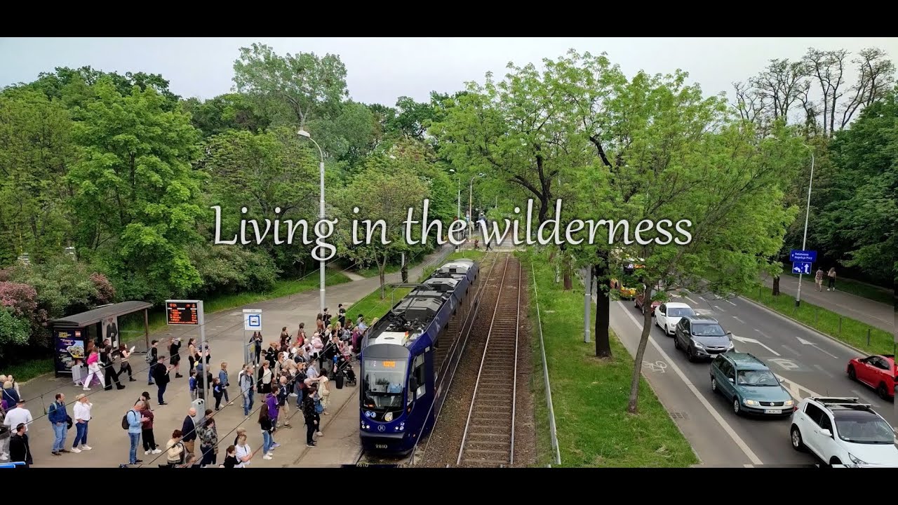Living in the wilderness - Documentary movie